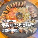 돗통 | 제주 산방산 흑돼지 맛집 ㅣ탄산온천 앞 돗통 후기