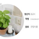올루션 이미지
