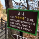 동의보감촌 치유의숲 이미지