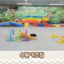 수원키즈짐
