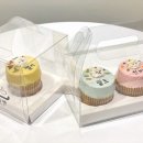 댕수성찬 네이버블로그