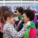 대구대학교환경 헤럴드경제