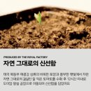 더건강한하루 | 도이캄 토마토주스 100% 착즙, 무설탕이라 더 건강한 하루 시작 후기