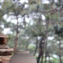 국제대학교 해강도자기미술관 이미지