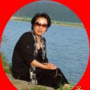 나비사랑 이미지