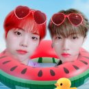 퐁즈 이미지