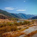 꽃 음악회 이미지