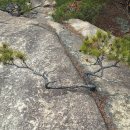 선림2농장 | 북한산 오산A,B,폭포,선림,슬랩 포토산행2025,01,26