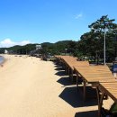 장경리해변 야영장 이미지