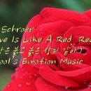 천사의 선물 이미지