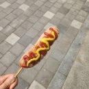핫독 이미지