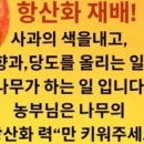 주식회사 스토리나무