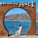 여울애견 이미지