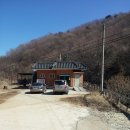 추원모차골 이미지