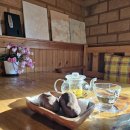 흙과나무 이미지