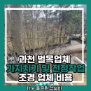자람종합주택관리 | 과천 벌목업체 가지치기 및 전정작업 조경 업체 비용