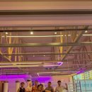 팔로니아 복싱 이미지