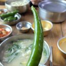 경주국수 | 황리단길 맛집 :: 이효리 콩국수 맛집 잔치집 잔치국수, 칼국수, 수제비, 경주 막걸리 후기