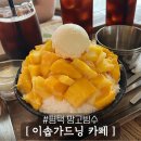 내돈내산) 평택 소사벌 카페 이솝가드닝 평택 망고빙수 추천