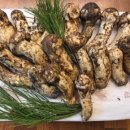 강릉송이 | 강릉송이버섯 강릉능이버섯 명절선물 오대산을 뒤뜰삼아 후기