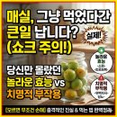 (백세시대)"천연 소화제 매실, 그냥 먹으면 독? 100% 흡수하는 올바른 섭취법과 효능 정리"