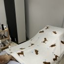 아레스(R.S) 이미지