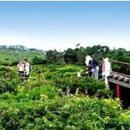 ㈜나라렌트카 이미지