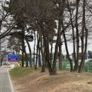 버스터미널 건너편 | 인천공항 장기주차장 주차 후기 1터미널 2터미널 이동 셔틀버스 노선타는 곳 시간표