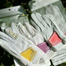 (주)지온컴퍼니 | 여성 골프 장갑 추천 18호 사이즈 팁 어베이브