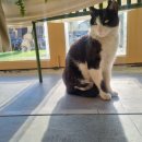 씨제이대한통운(주)입장주유소 | 25년 3월 기록 ②