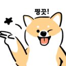 한솥도시락 마곡디엠시티점 네이버블로그