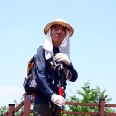 정남진 민박 | 남해안 회진항~정남진