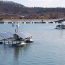 신대호수 이미지