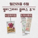 [6월 클래스 후기] 캘리그라피 원데이클래스: 압화키링 + 미니족자 만들기