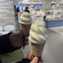 눈늪목장 네이버블로그