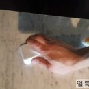 그린화장품전문점 Daum카페
