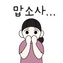 코코아이래쉬