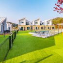 행복 애견방 이미지