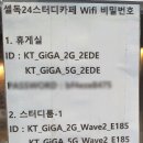 셀독24시스터디카페 이미지