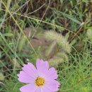 다정다감 이미지