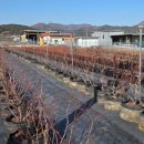 용담농장 이미지