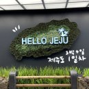 [놀러가볼깨] 제주도 여름휴가 1일차[제주도 3박4일]