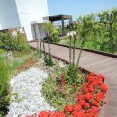 서구청 옥상생태공원 이미지