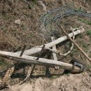 버드나무골 이미지