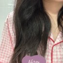［리뷰］올리브영 추천 5ENSE 파이브센스 헤어폼 헤어오일 후기