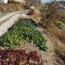 구산면423 네이버블로그