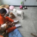 이든 동물의료센터 이미지