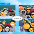 가이펜션