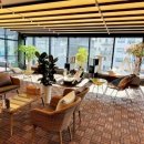 서울애견 미용실 이미지