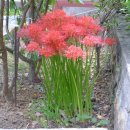 김영종한의원 이미지